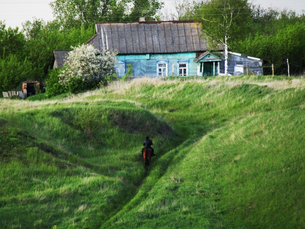 Photograph by Лариса Басова