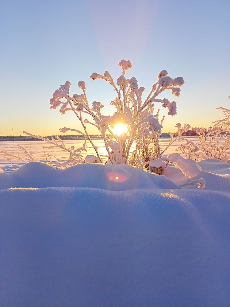 Photo #10120586