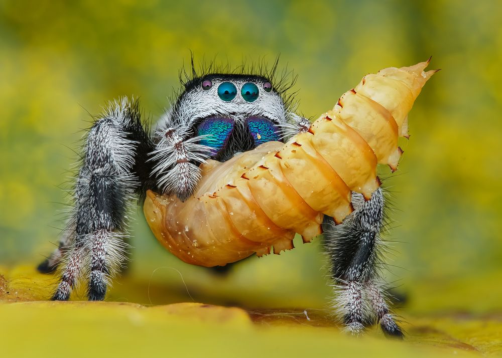 Photograph by Tran The Ngoc