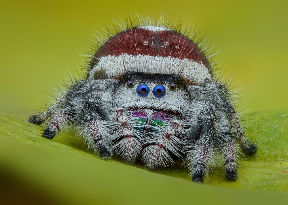 Photograph by Tran The Ngoc