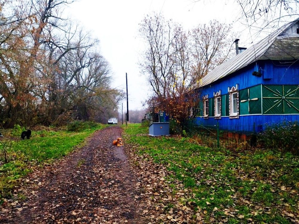 Photograph by Лариса Басова