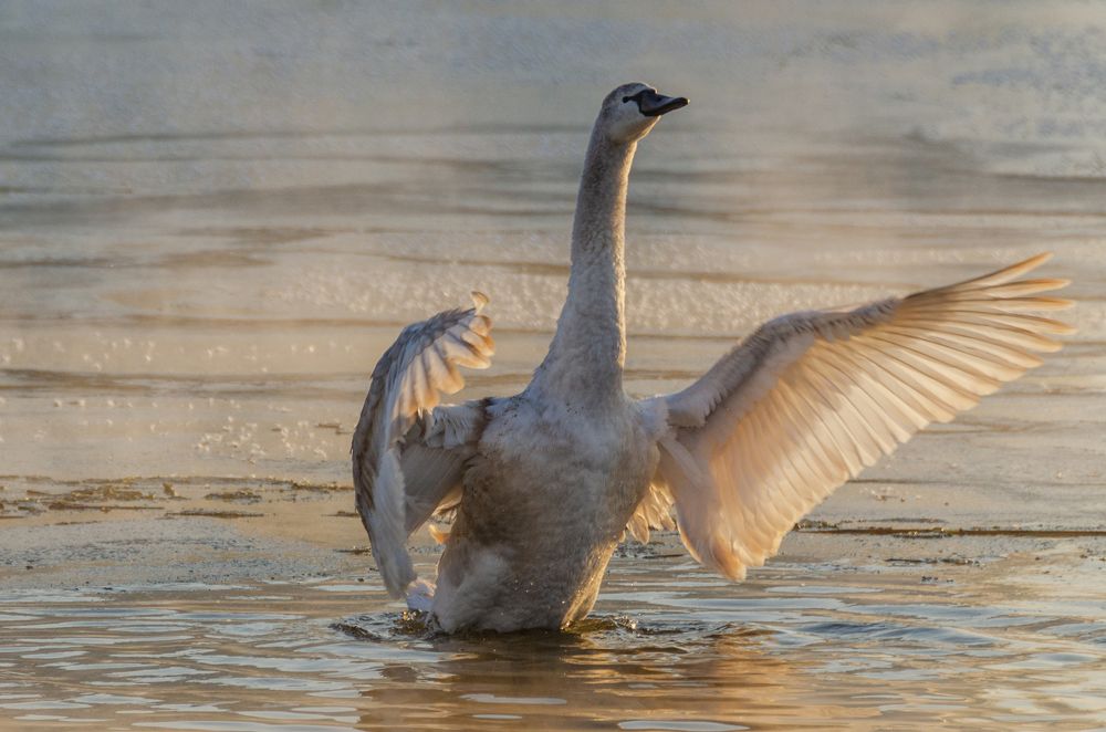 Photograph by Гайдук Евгений