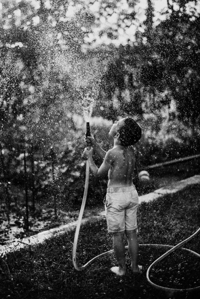 Photograph by Sandra Tines