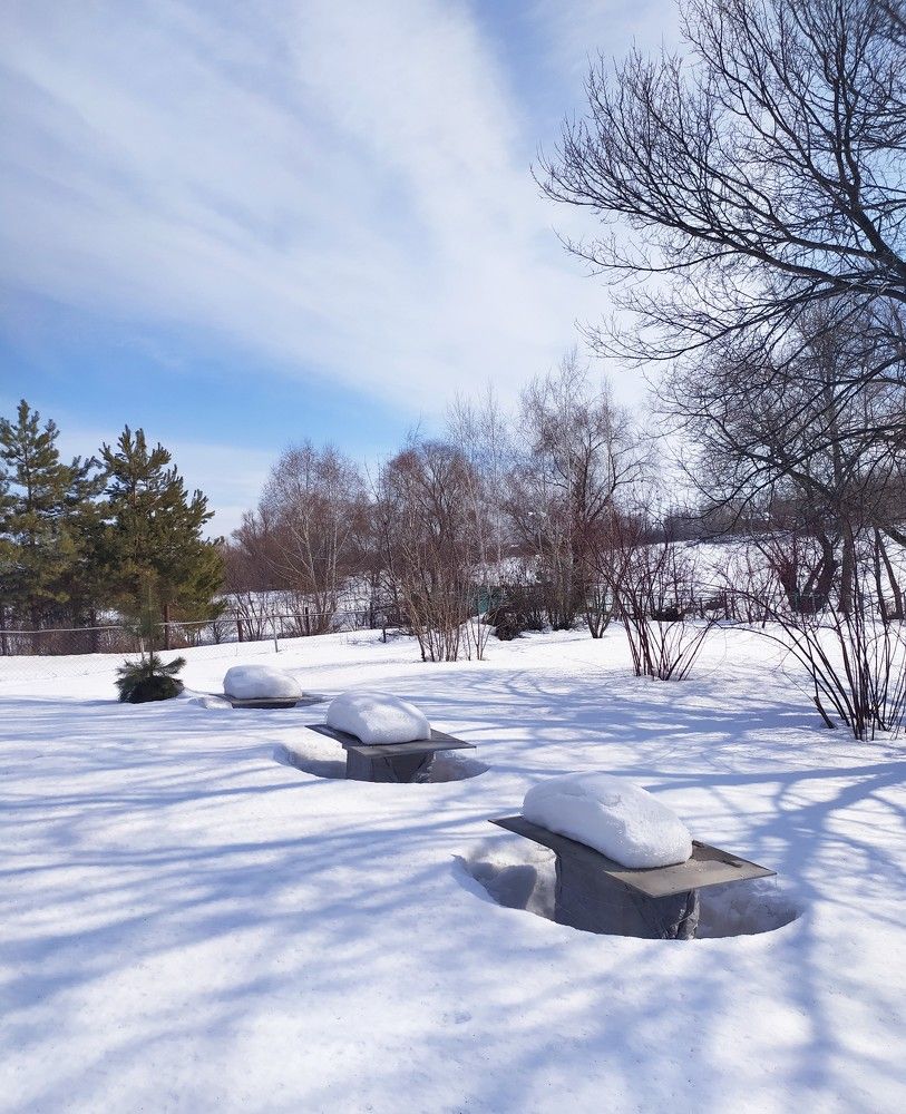 Фотография автора Елена Александрова