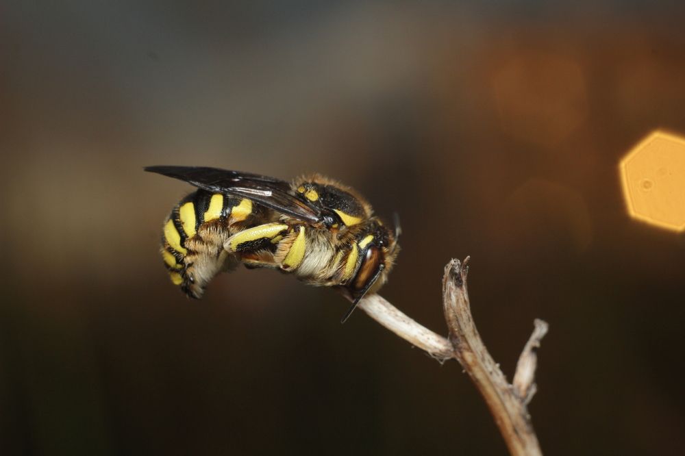 Photograph by Аlessandro