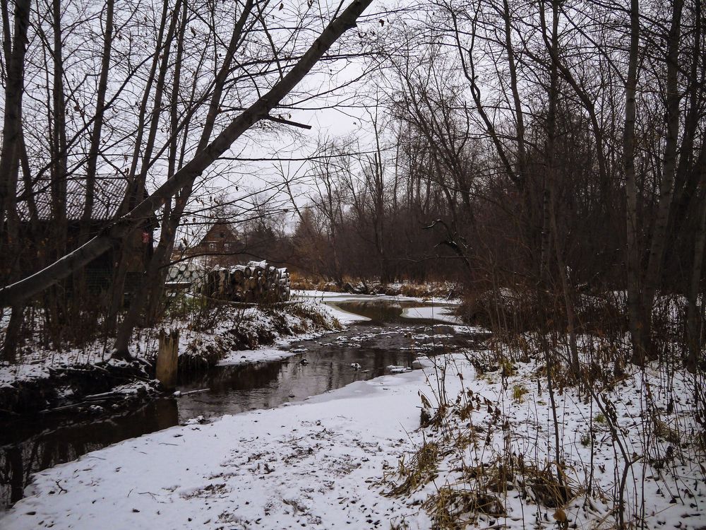 Photograph by Баженова Наталья