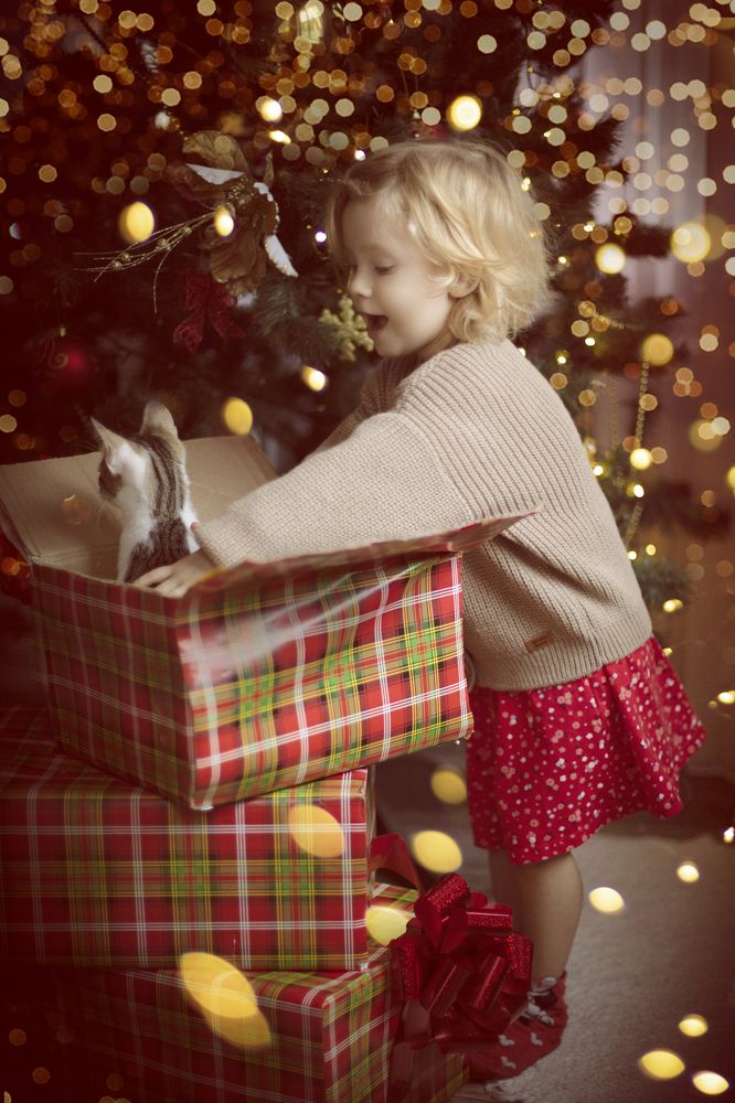 Photograph by Ольга Пащенко