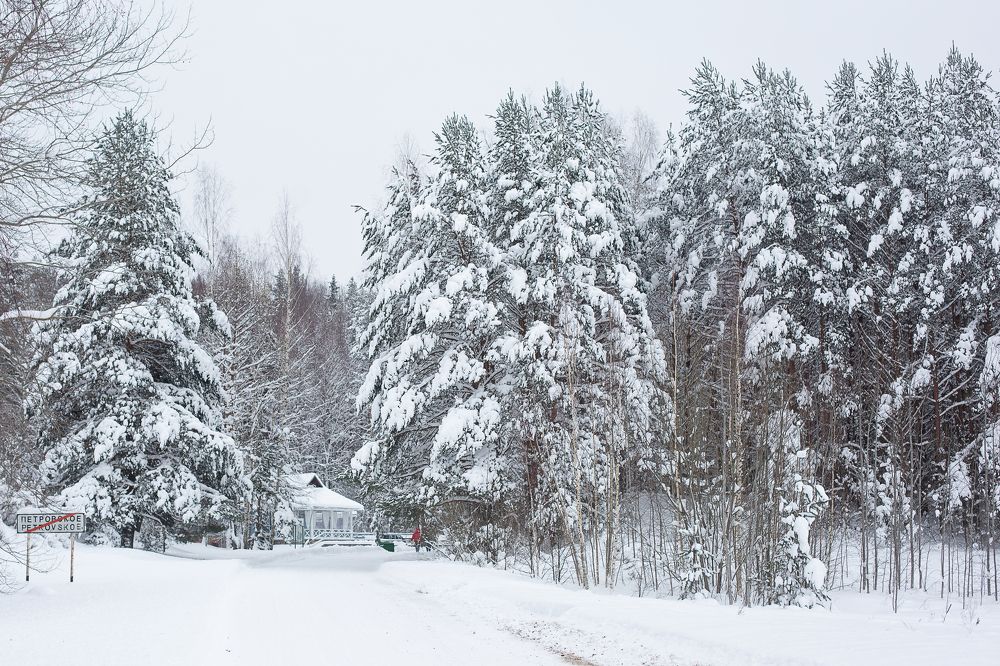 Photograph by Старикова Светлана