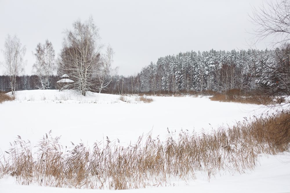 Photograph by Старикова Светлана