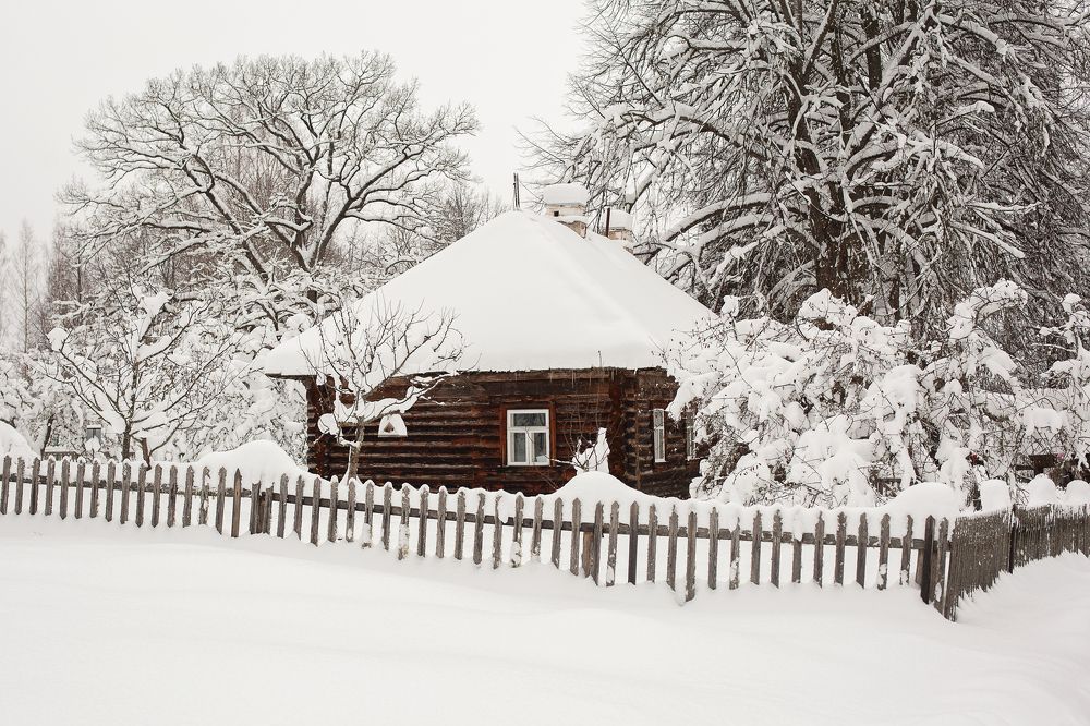 Photograph by Старикова Светлана