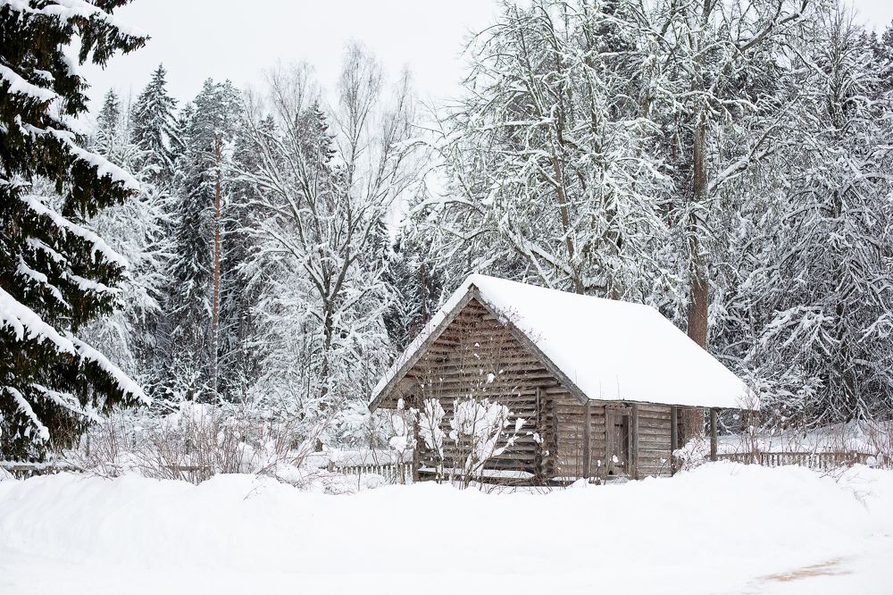 Photograph by Старикова Светлана