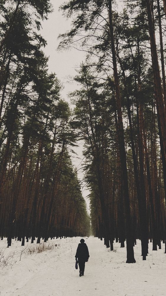 Photograph by Татьяна Санеева