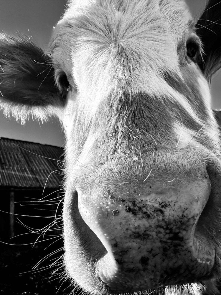 Photograph by Зинара Баймухаметова