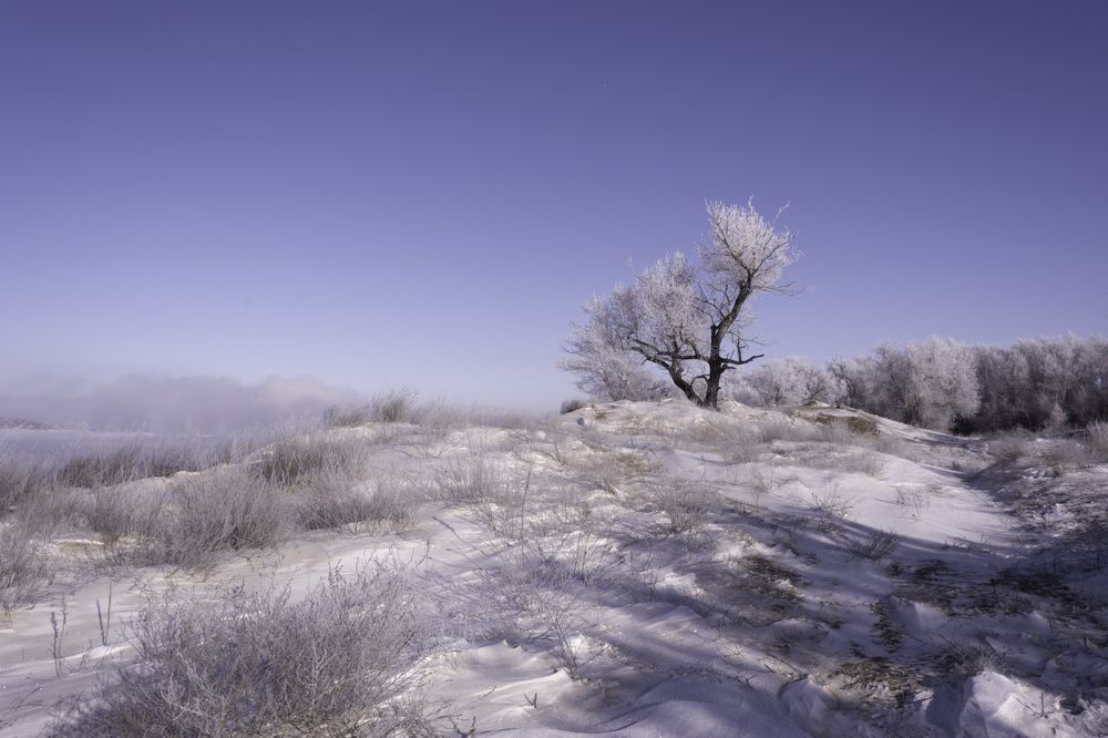 Photograph by Ольга Салтыкова