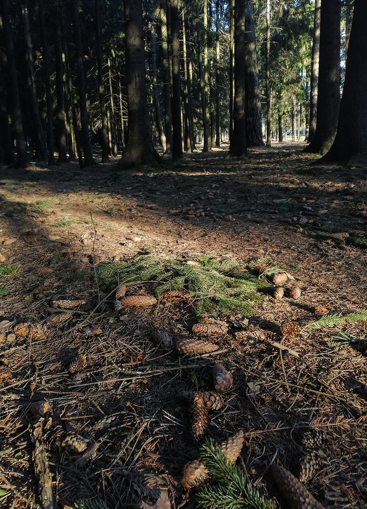 Фотография автора Борис Журавлёв