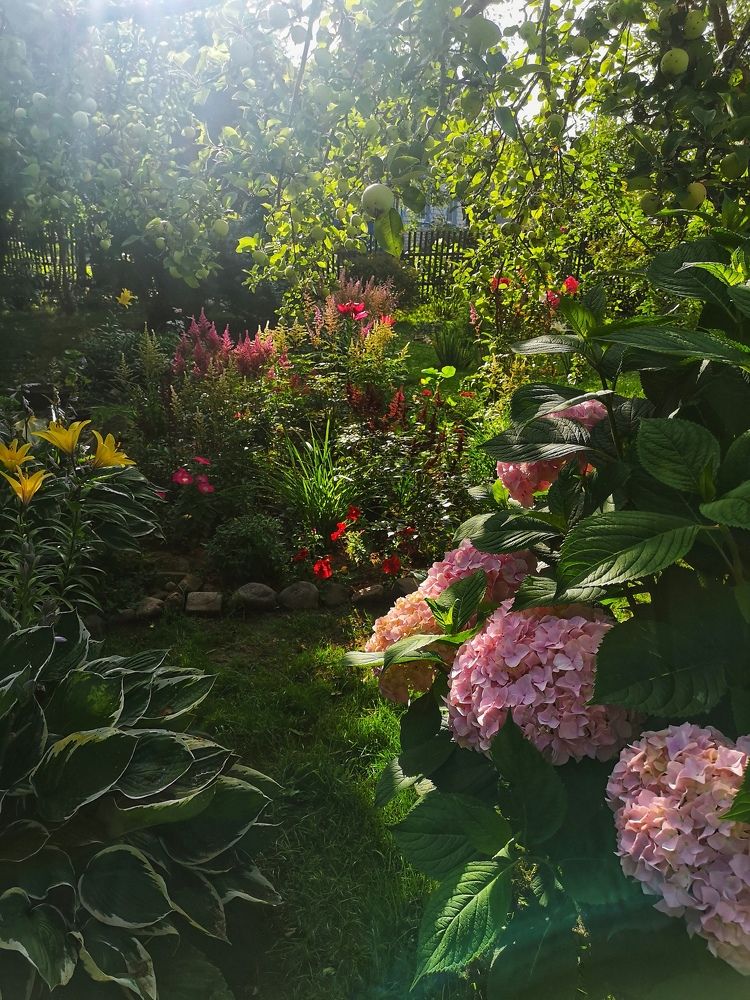 Photograph by Екатерина Борисовна Кузьмина