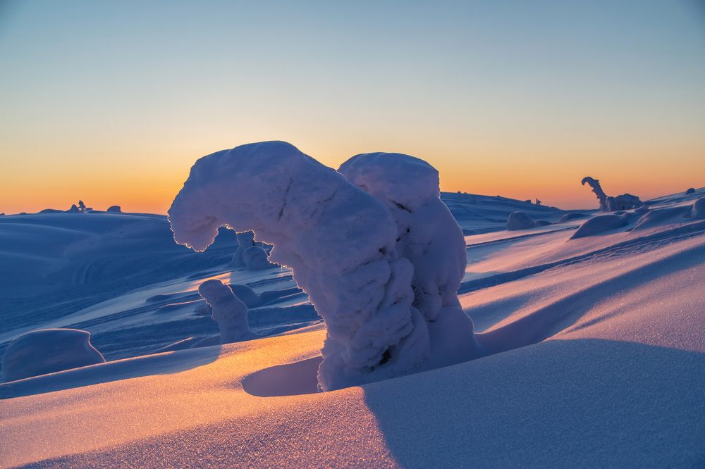 Photograph by Татьяна Кормашова