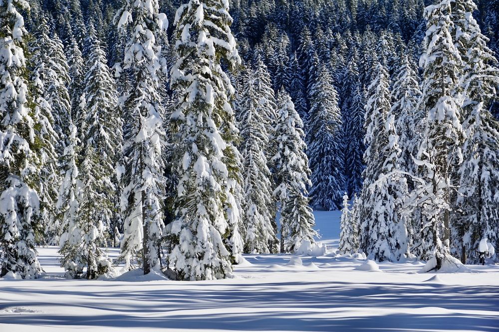 Фотография автора Liudmila Kiermeier