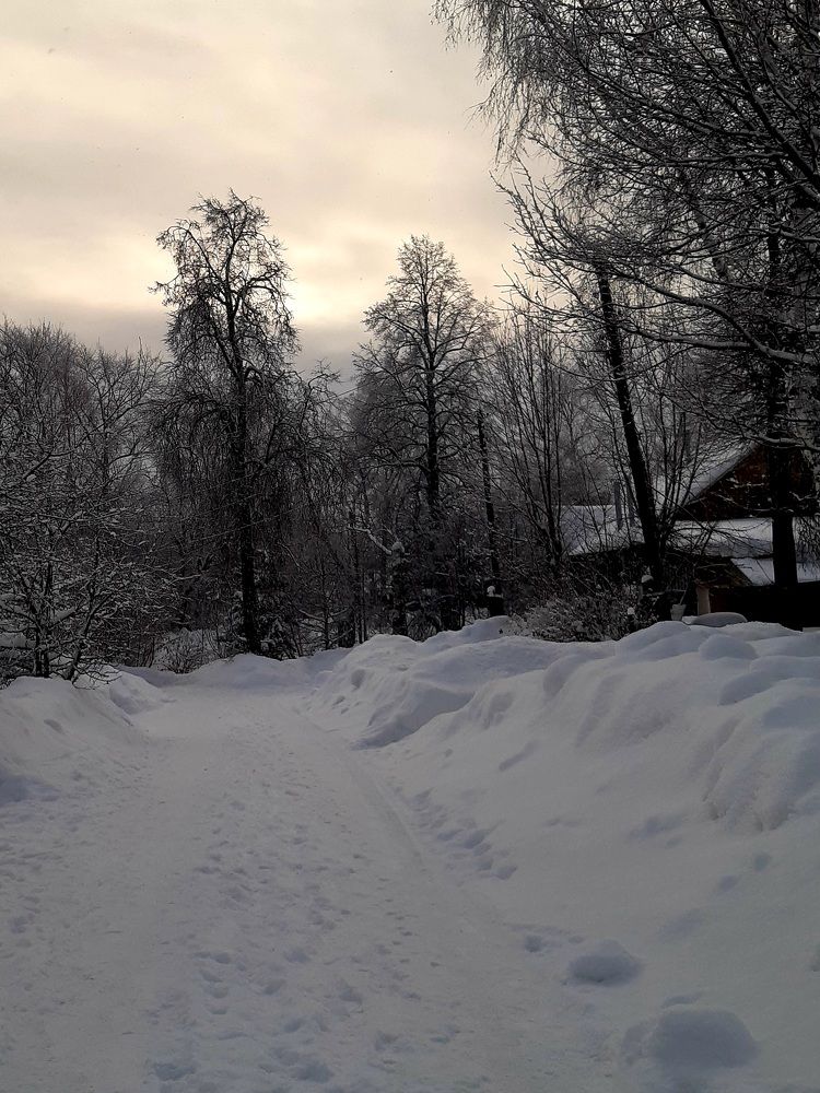 Мобильная фотография.