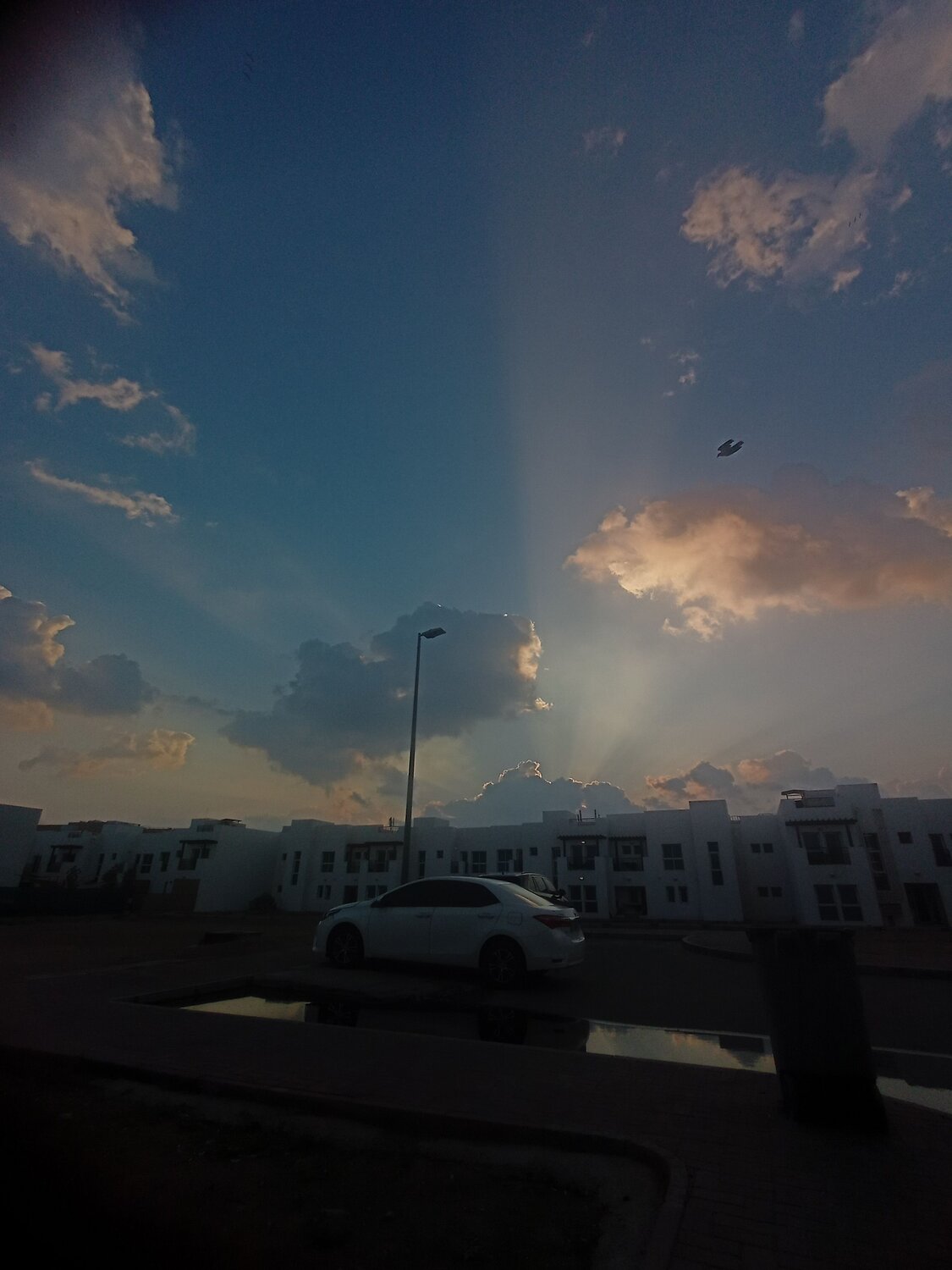 An untitled morning
