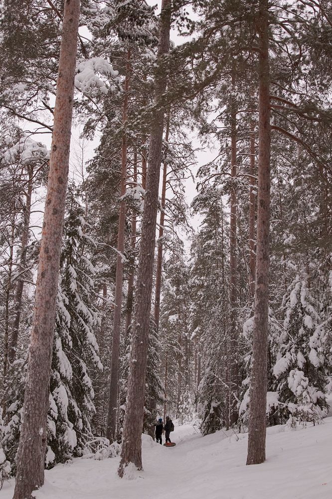 Photograph by Инесса Перевозникова