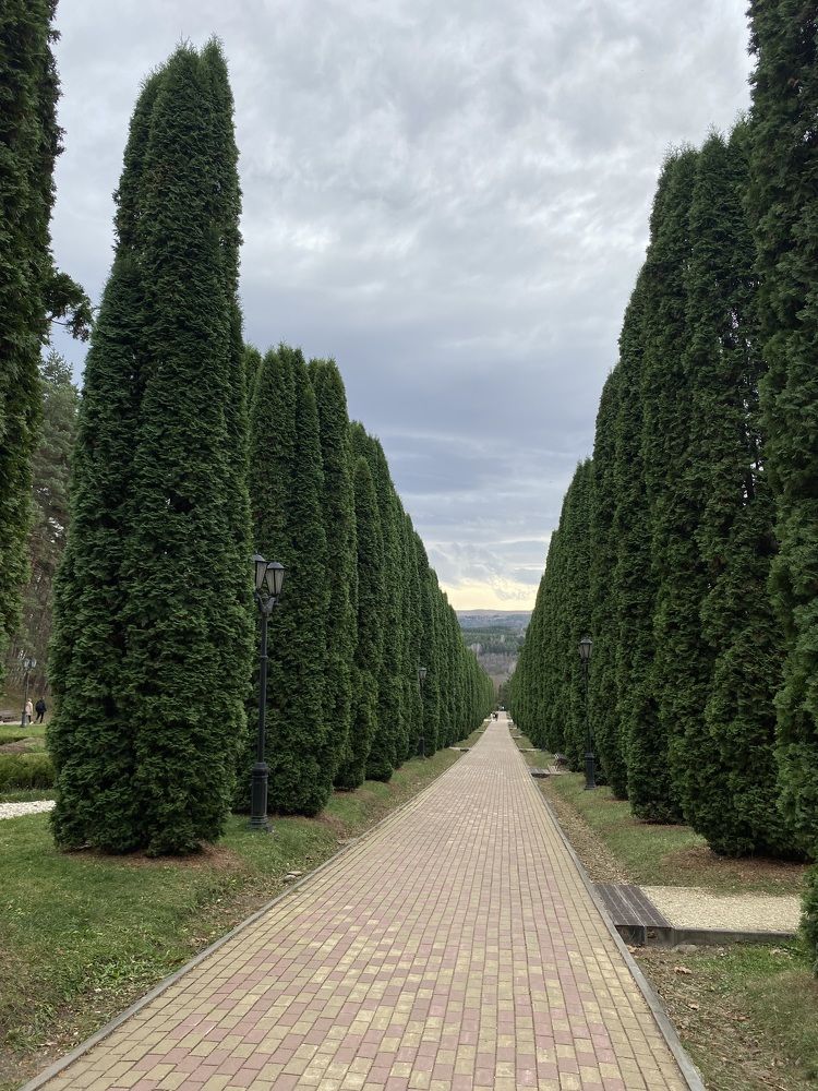 Photograph by Светлана Яковлева