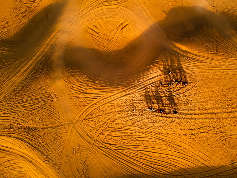 Фотография автора kimia shad