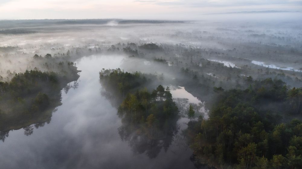 Photograph by Татьяна Кормашова