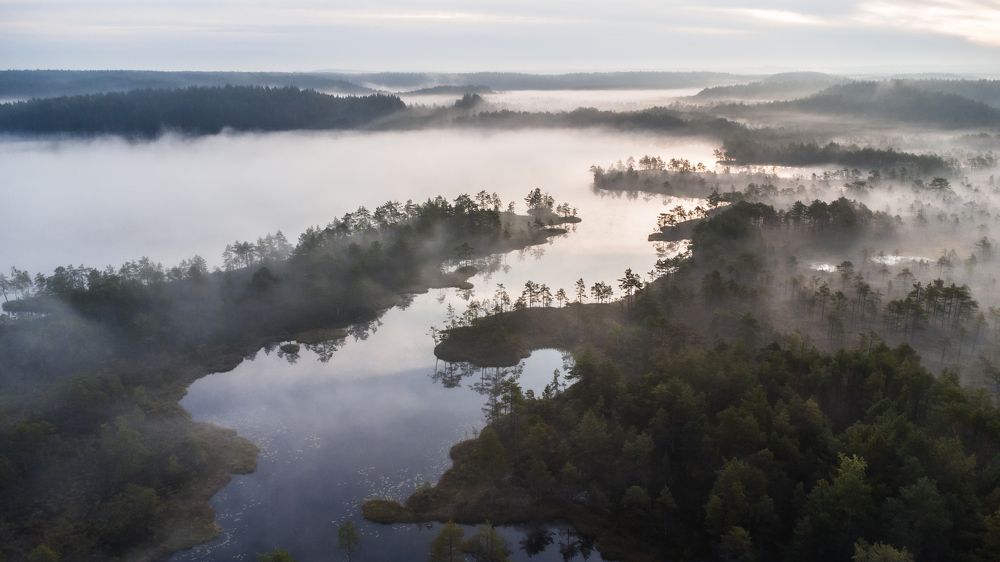 Photograph by Татьяна Кормашова