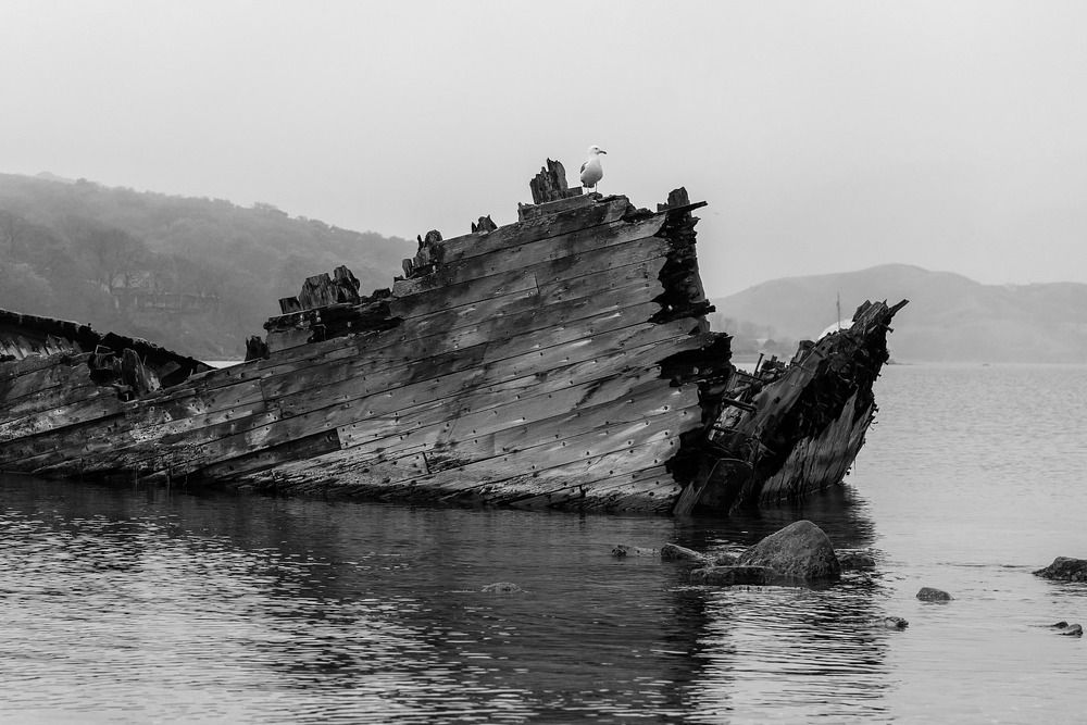 Фотография автора Yakovlev Artur