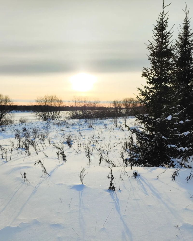 Photograph by Марина