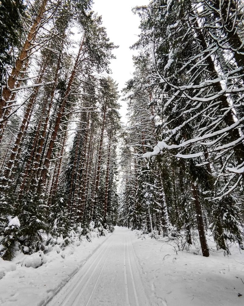 Photograph by Марина