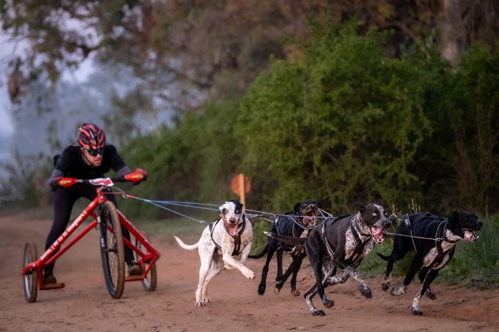 Photograph by Amelia Pardo