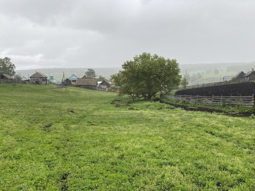Летний и дождливый день в моей деревне