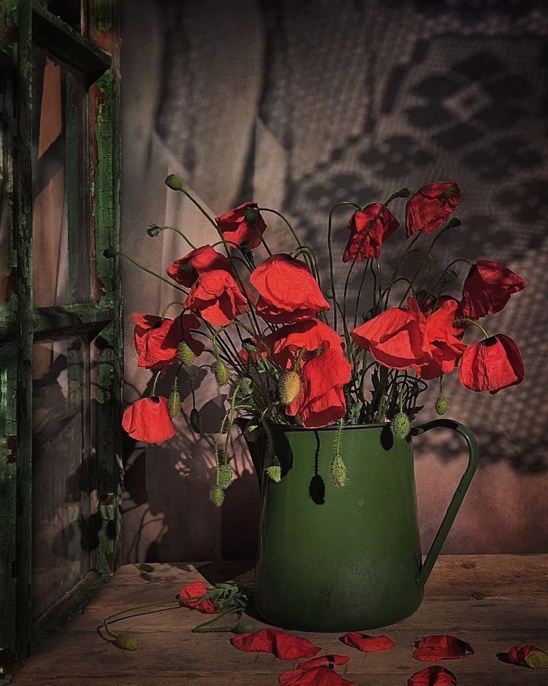 Фотография автора Инга Шевелёва