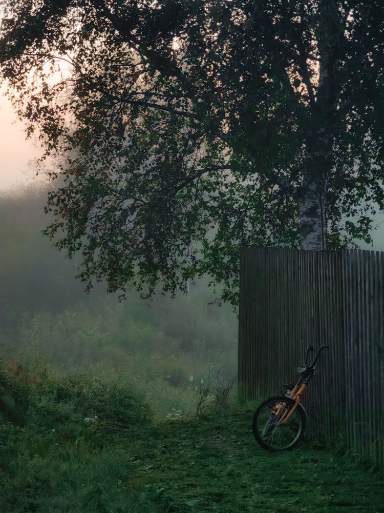 Photograph by Титова Дарья