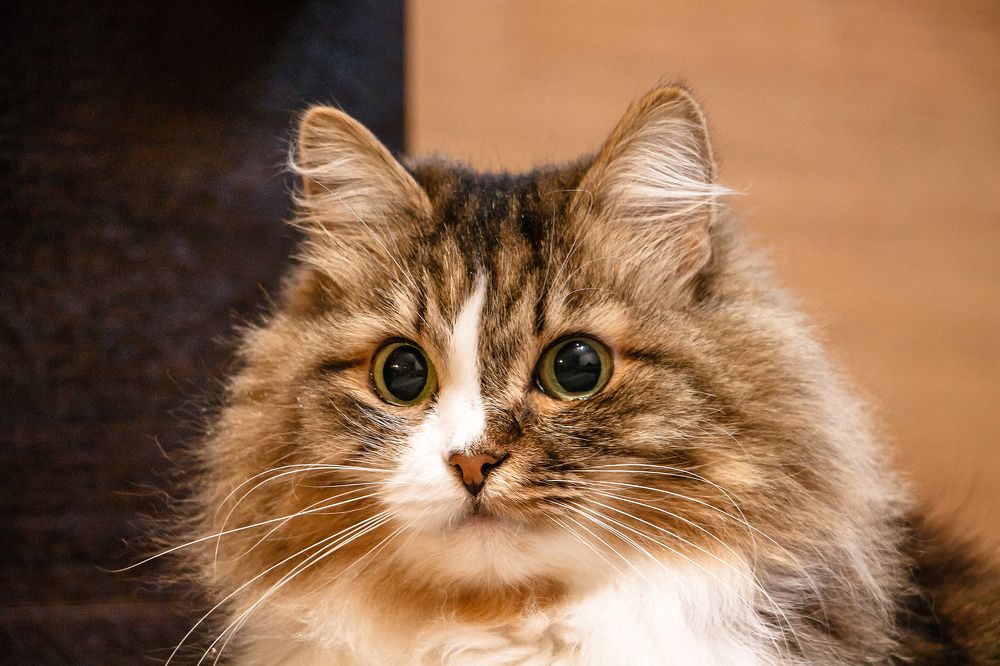 Photograph by Юлия Ташлыцкая