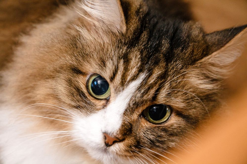 Photograph by Юлия Ташлыцкая