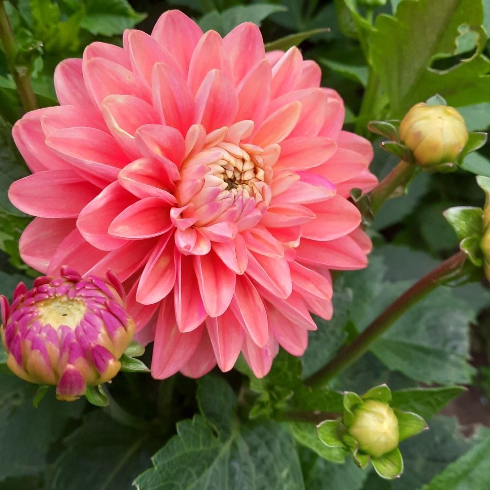 Photograph by Олеся