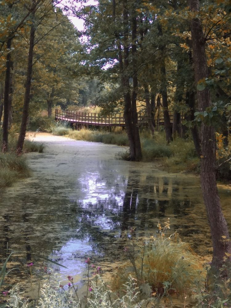 Фотография автора Ксения Вабищевич