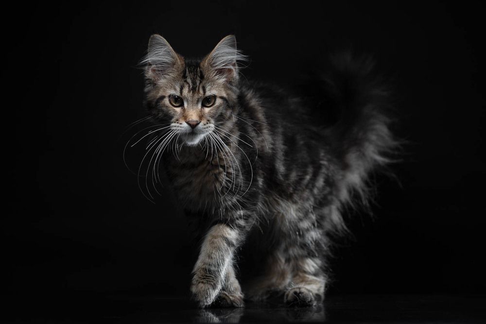 Фотография автора Гера Восьмая