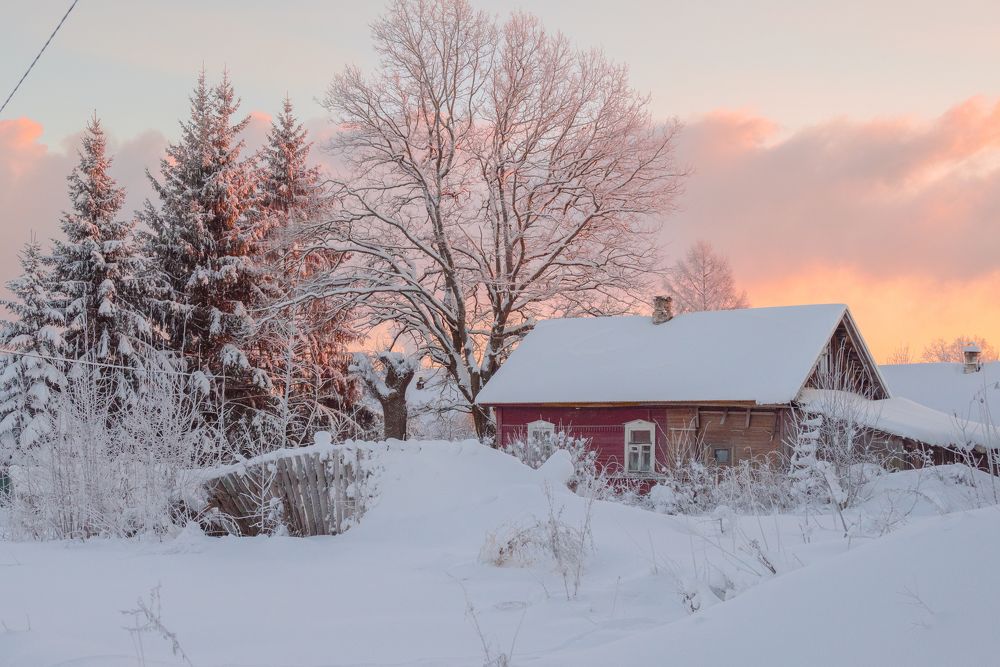 Photograph by Сергей Зимин