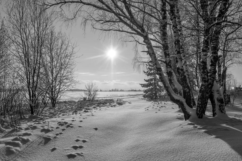 Фотография автора Yakovlev Artur