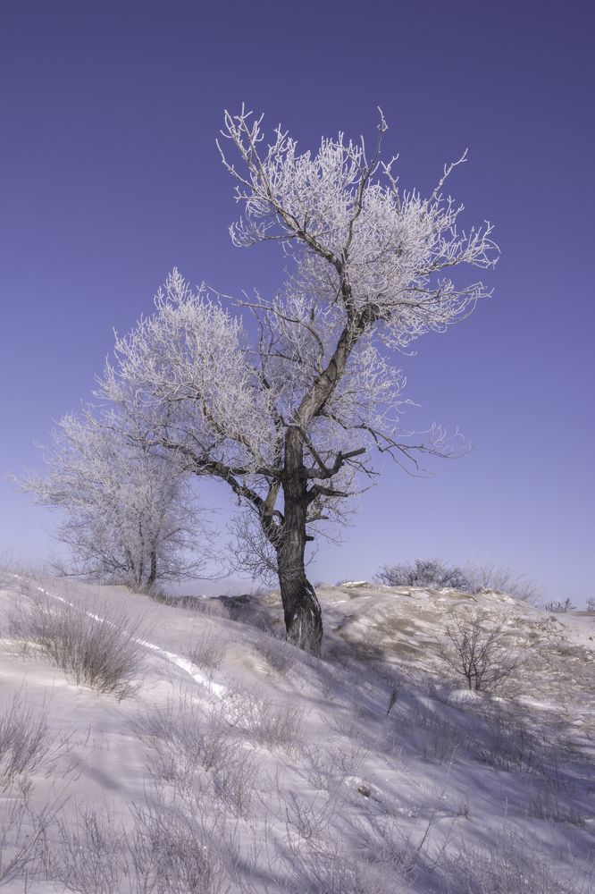 Photograph by Ольга Салтыкова