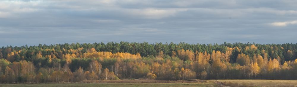 Фотография автора Алексей Ларионов