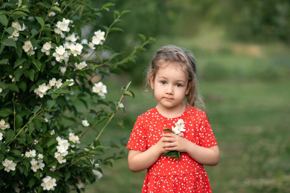 Photograph by Ирина Лапина