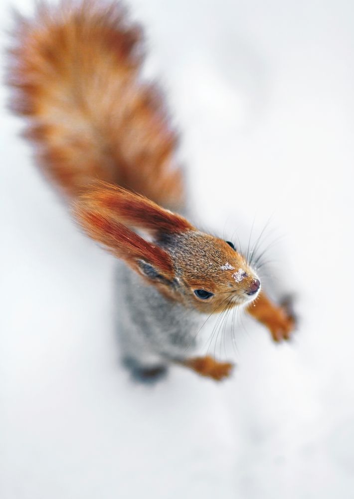 Photograph by Вероника Янина