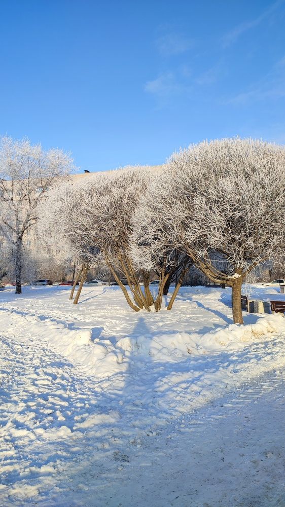 Photograph by Евгения Галиуллина