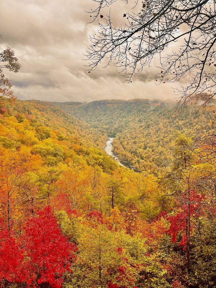 Photograph by Tyler Dewees