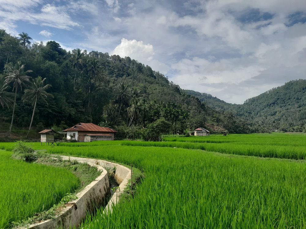 Bright Day of Village View